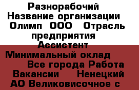 Разнорабочий › Название организации ­ Олимп, ООО › Отрасль предприятия ­ Ассистент › Минимальный оклад ­ 25 000 - Все города Работа » Вакансии   . Ненецкий АО,Великовисочное с.